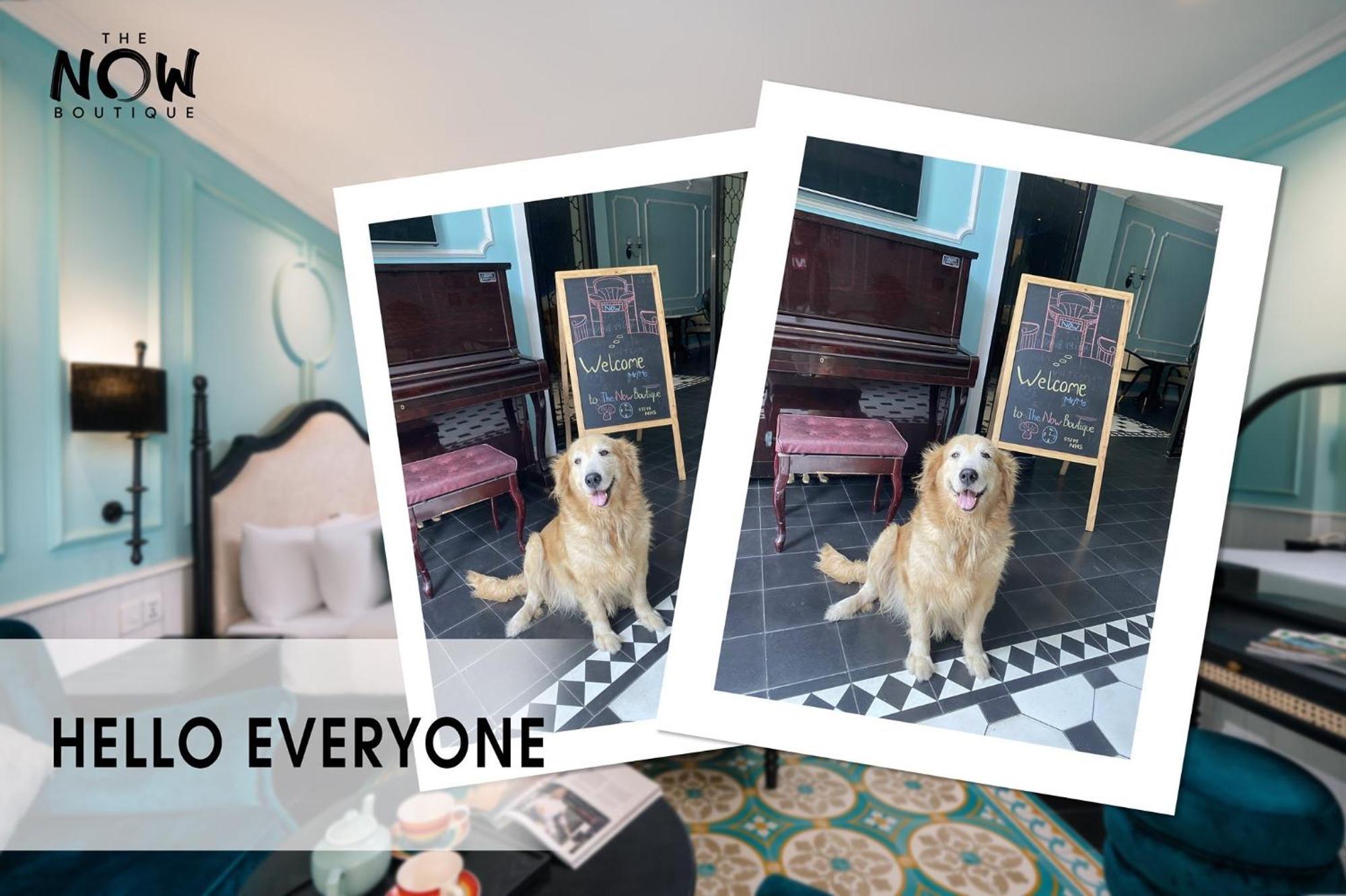 The Now Boutique Hotel & Apartment Da Nang Eksteriør bilde